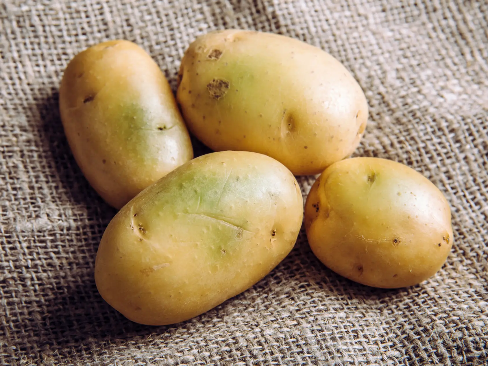 Achtung giftig! Grüne Kartoffeln nicht kochen oder essen